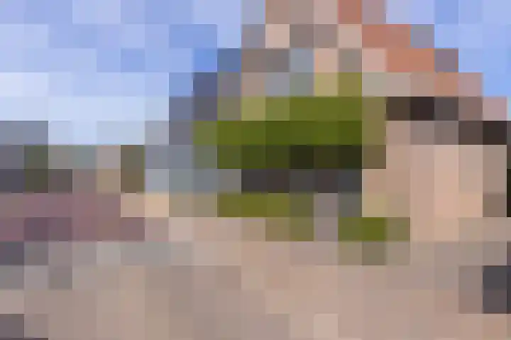 Elft 2 Hippolytushoef thumbnail 44