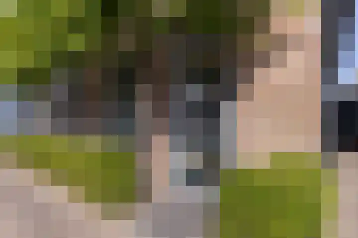 Elft 2 Hippolytushoef thumbnail 46