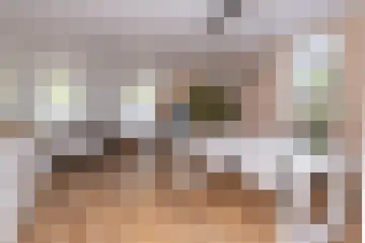 Elft 2 Hippolytushoef thumbnail 5