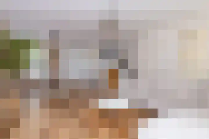 Elft 2 Hippolytushoef thumbnail 6
