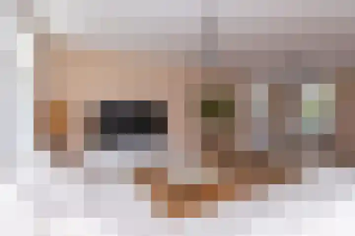 Elft 2 Hippolytushoef thumbnail 9