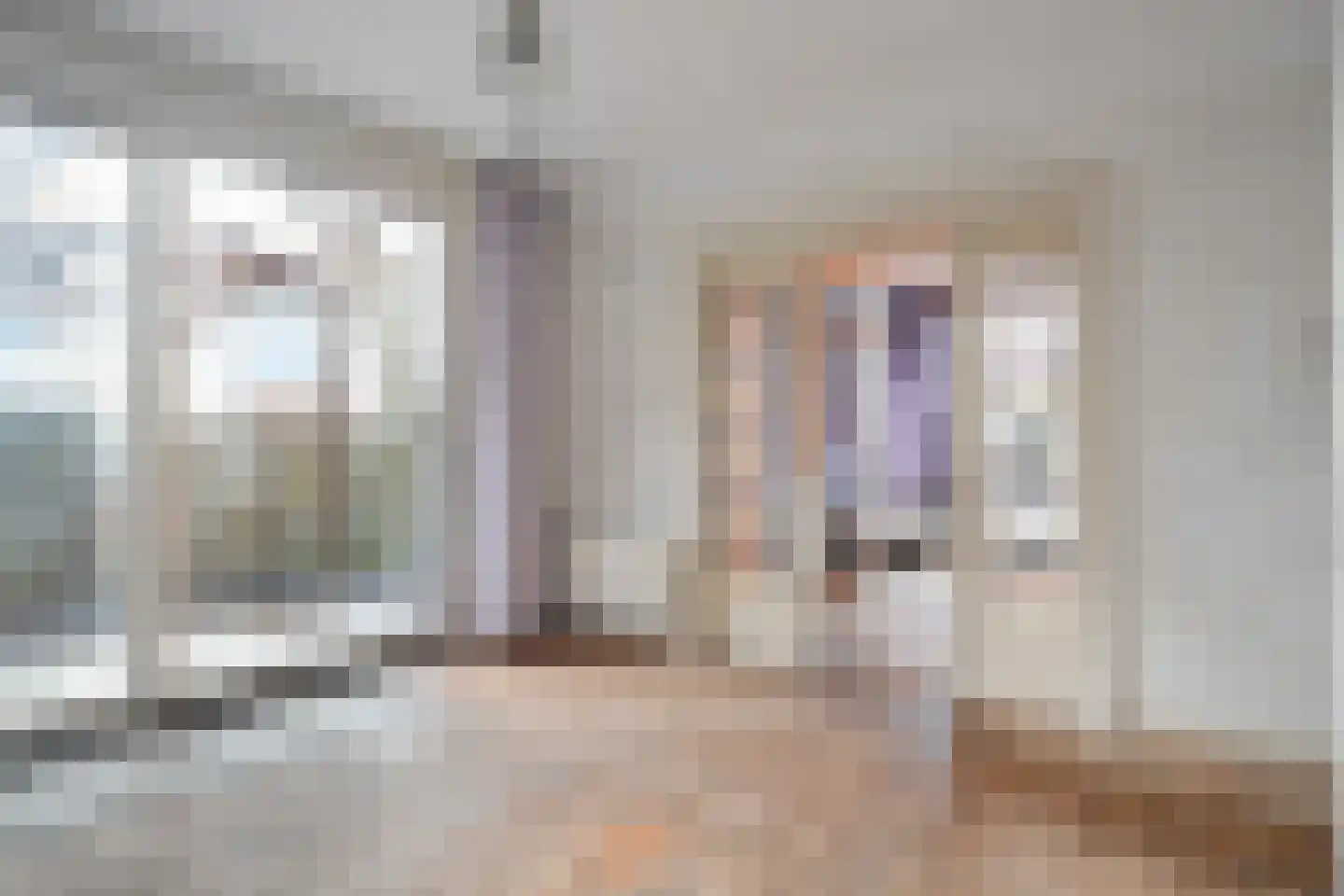 Elft 51 Hippolytushoef thumbnail 10
