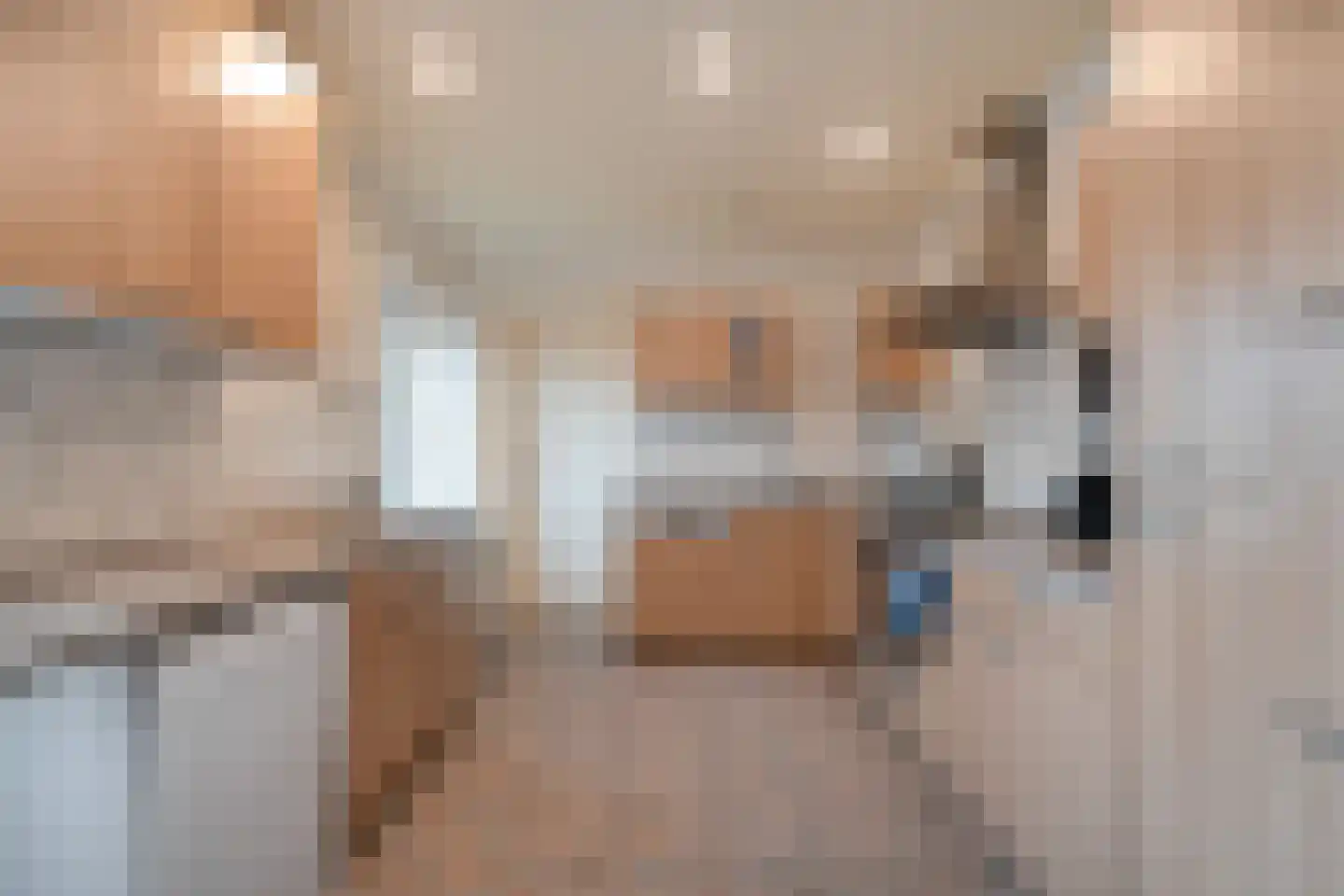Elft 51 Hippolytushoef thumbnail 14