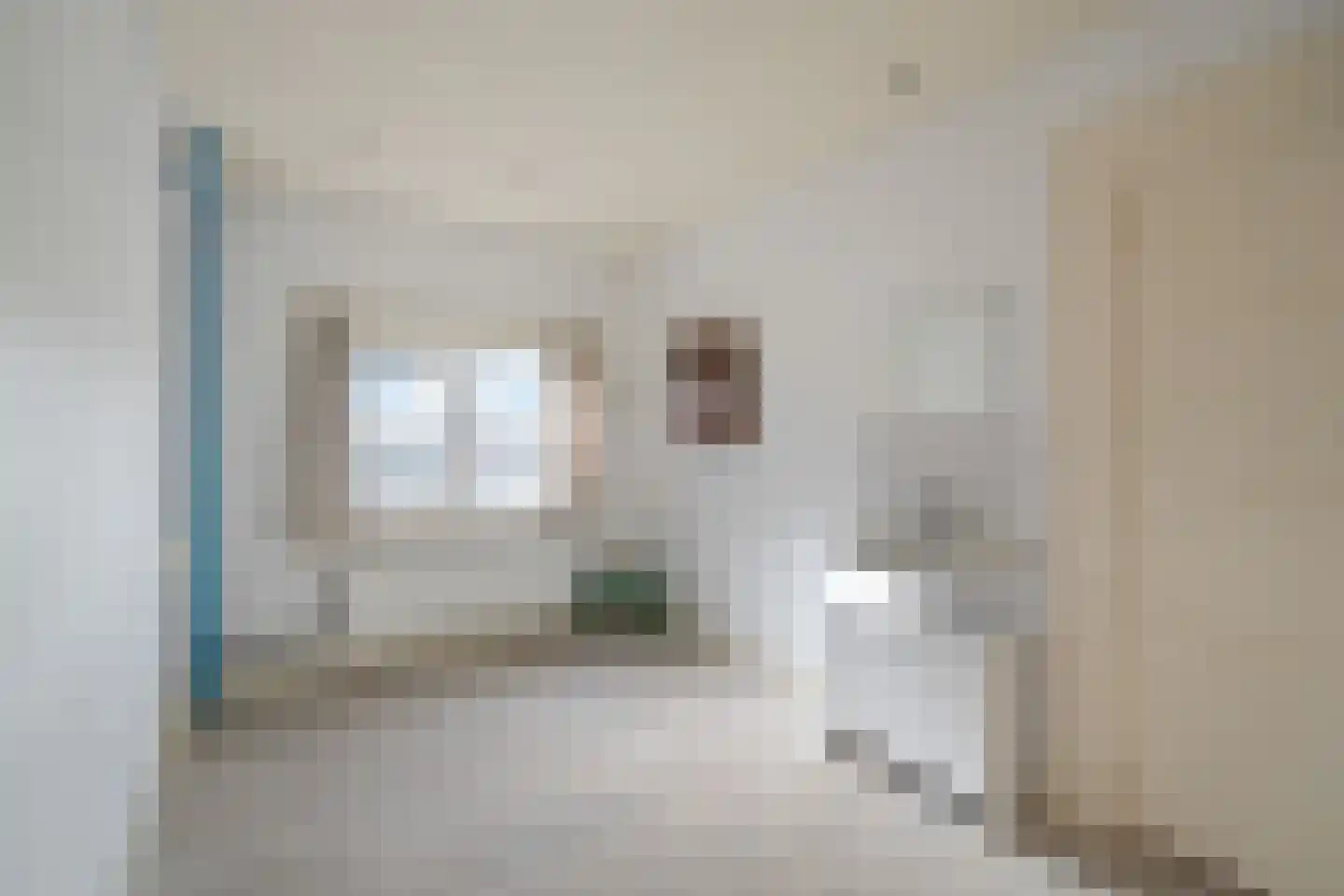 Elft 51 Hippolytushoef thumbnail 17