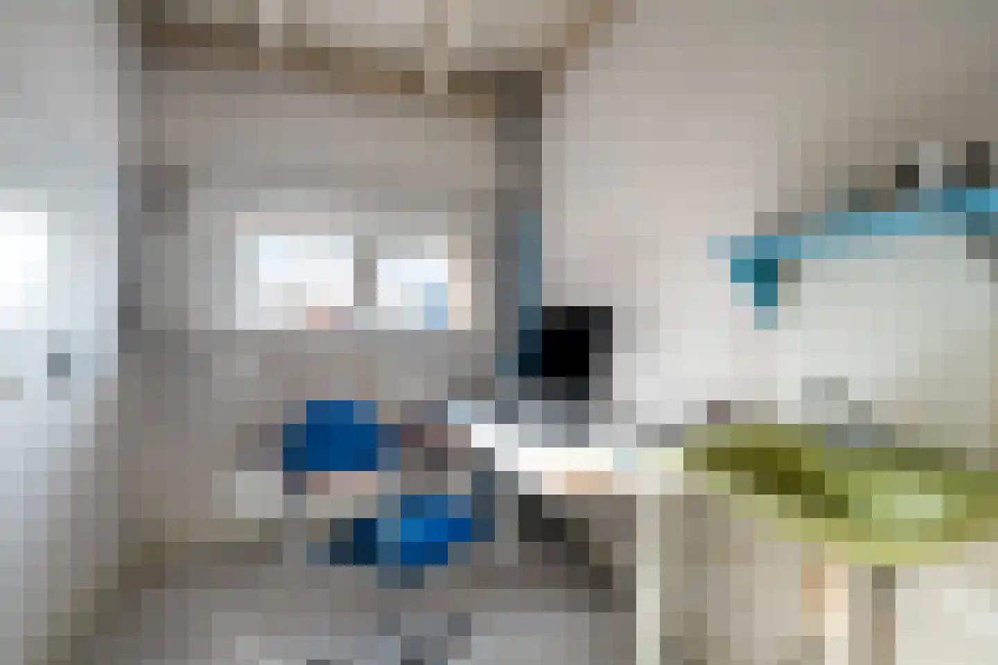Elft 51 Hippolytushoef thumbnail 18
