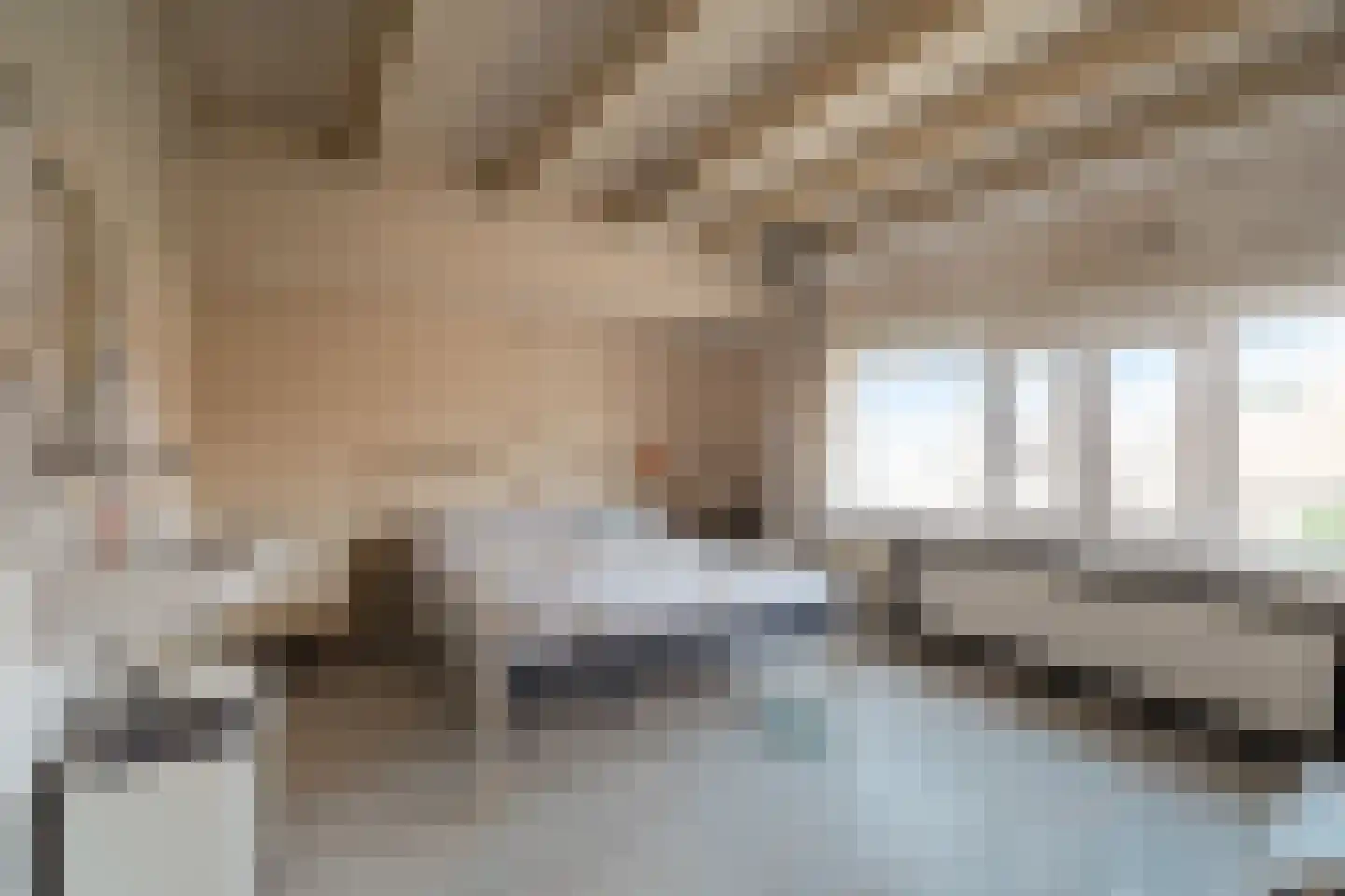 Elft 51 Hippolytushoef thumbnail 19
