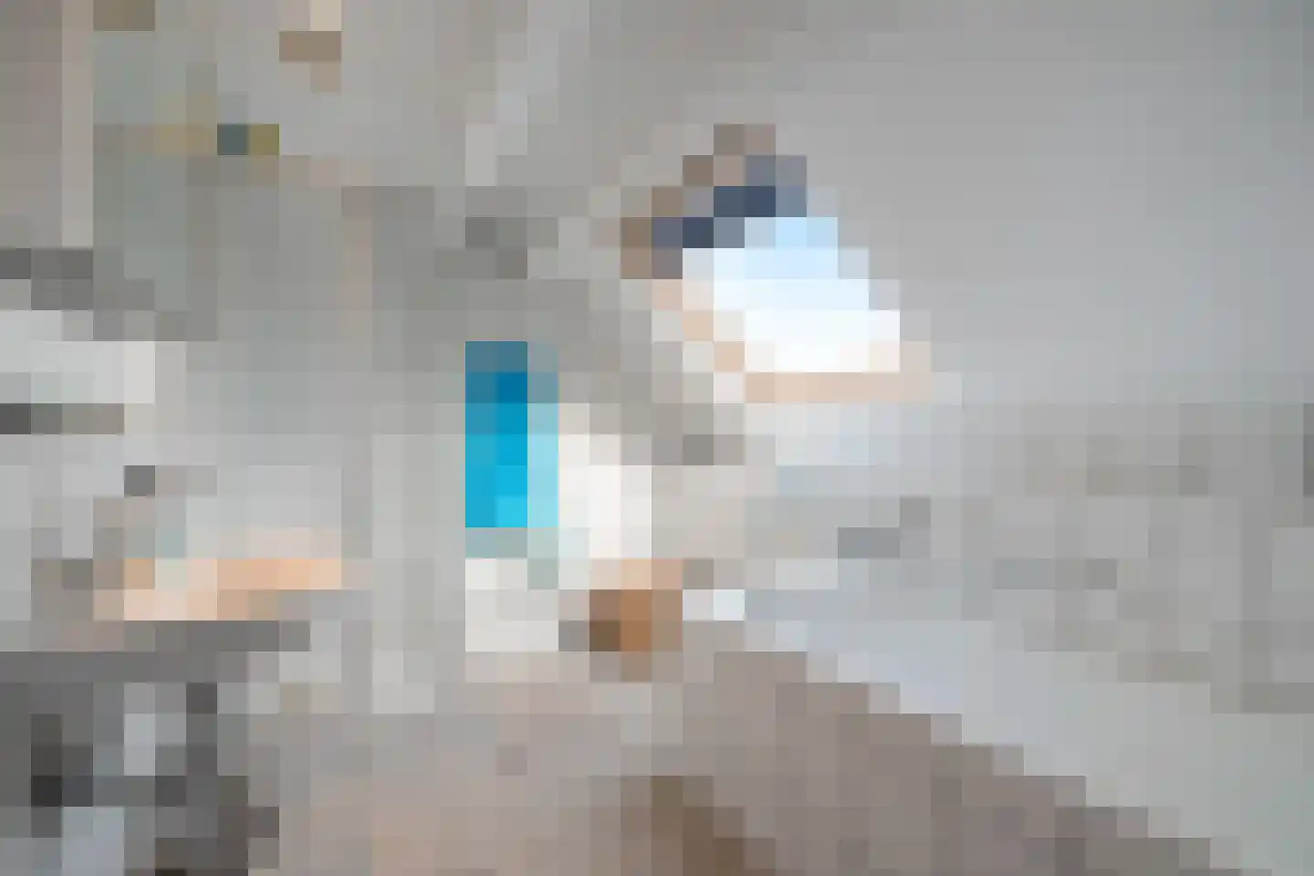 Elft 51 Hippolytushoef thumbnail 25