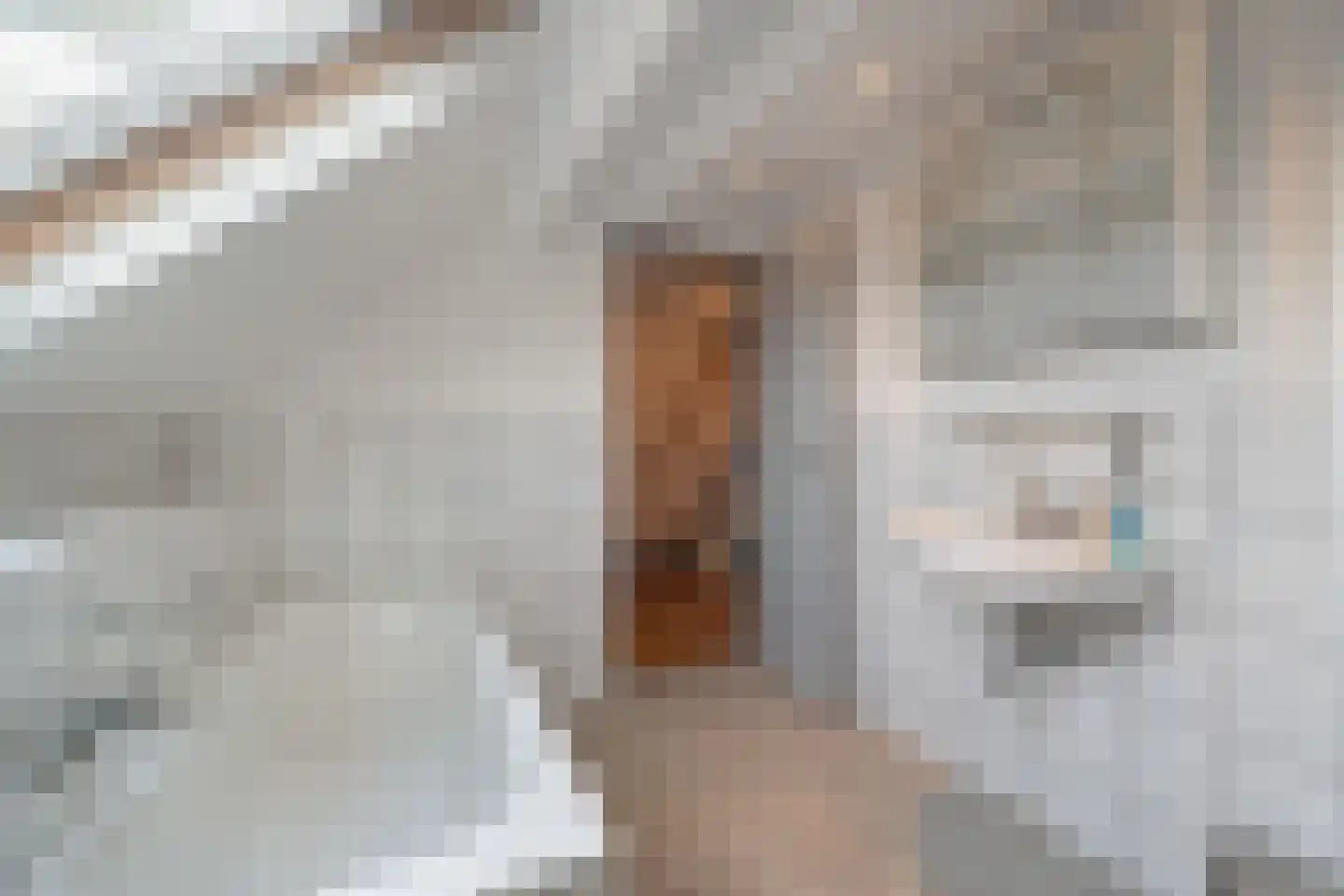 Elft 51 Hippolytushoef thumbnail 26