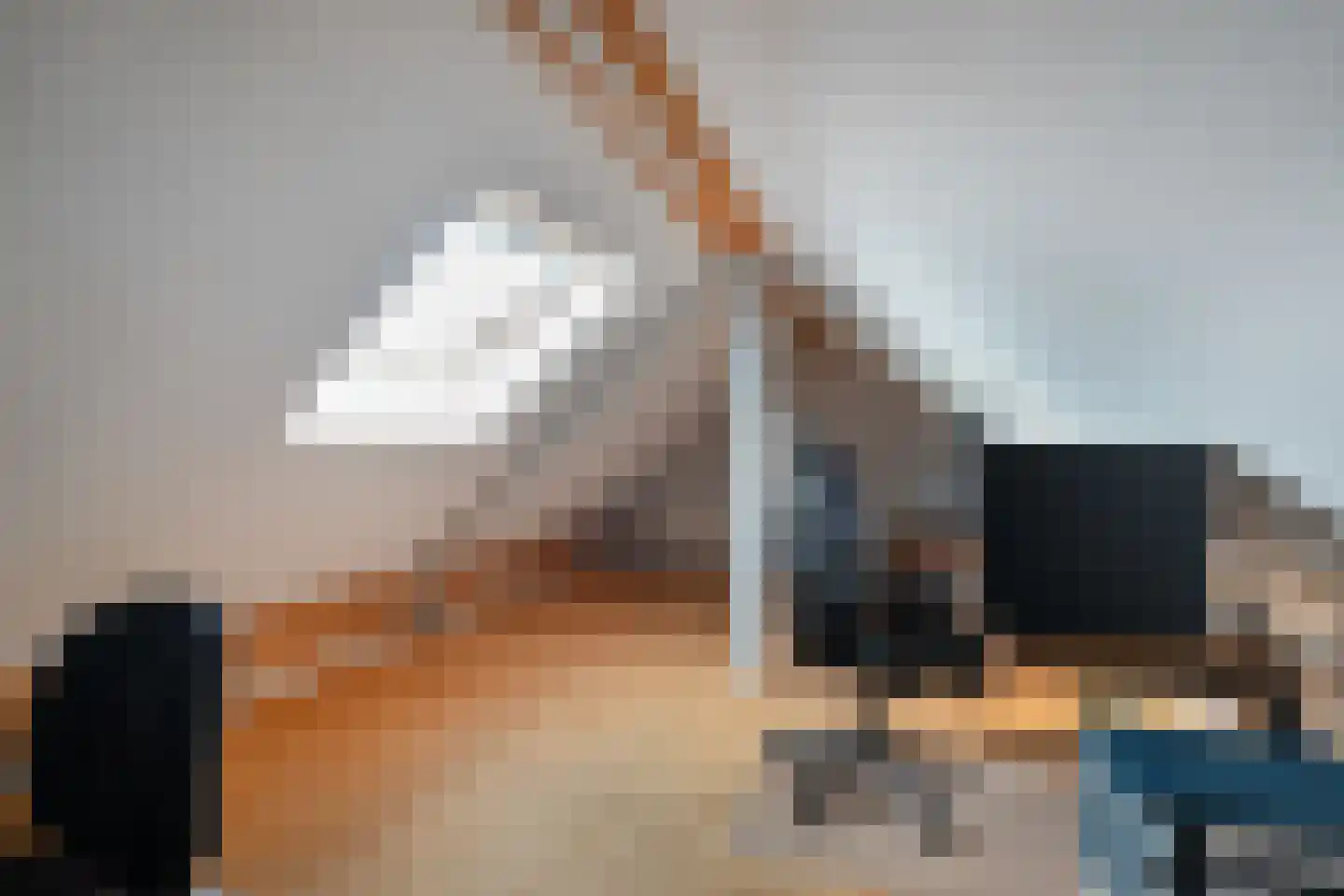 Elft 51 Hippolytushoef thumbnail 29
