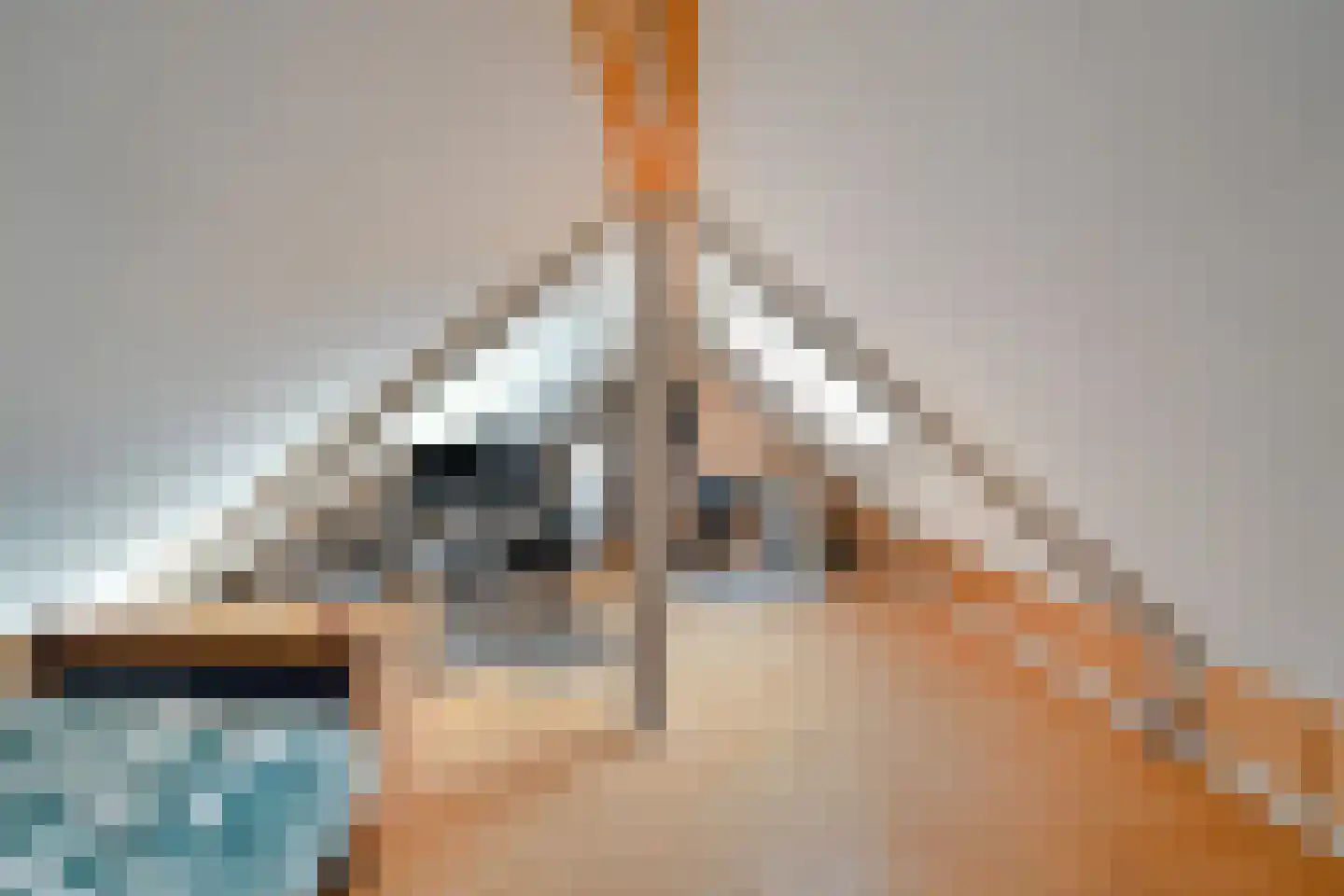 Elft 51 Hippolytushoef thumbnail 30