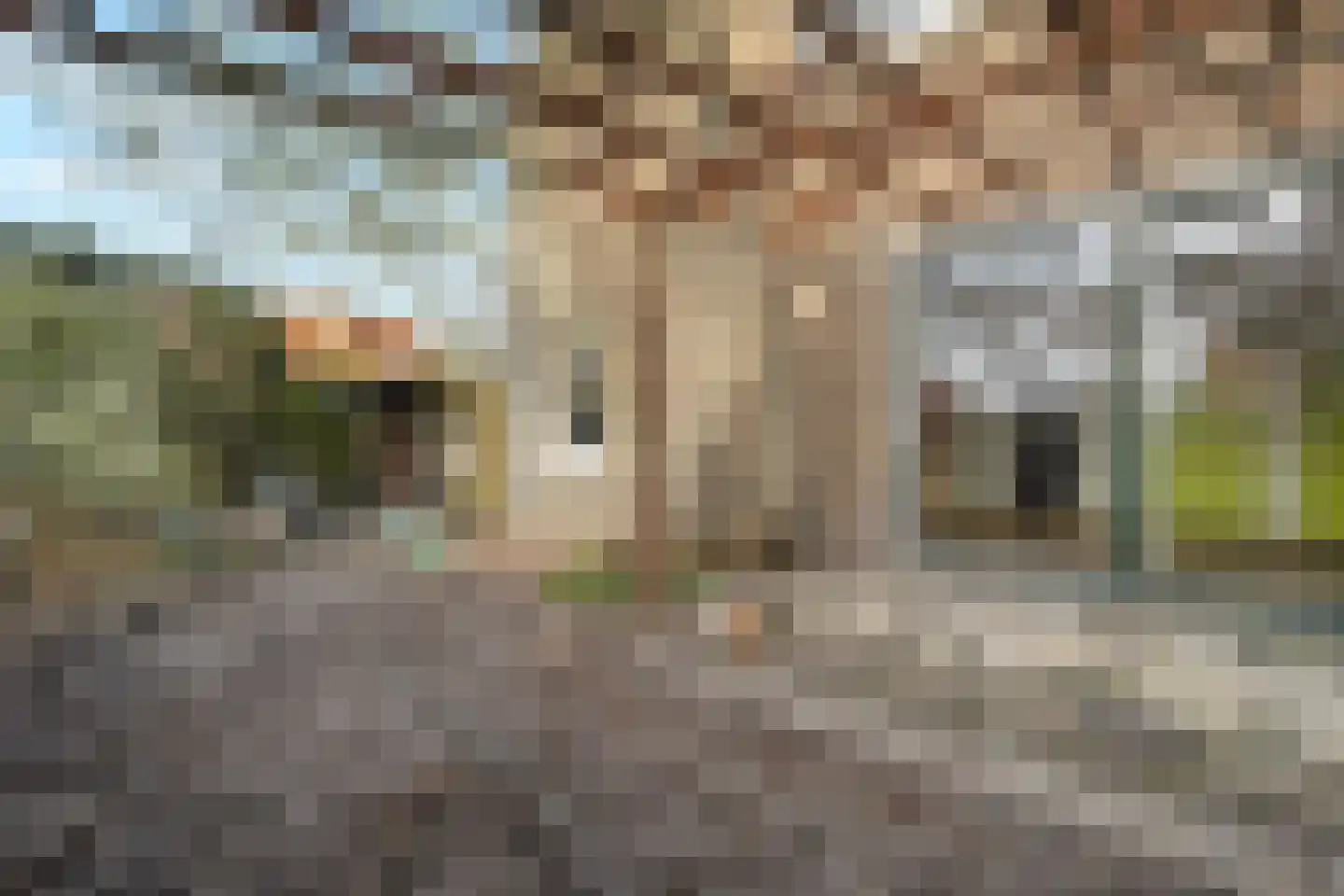 Elft 51 Hippolytushoef thumbnail 31