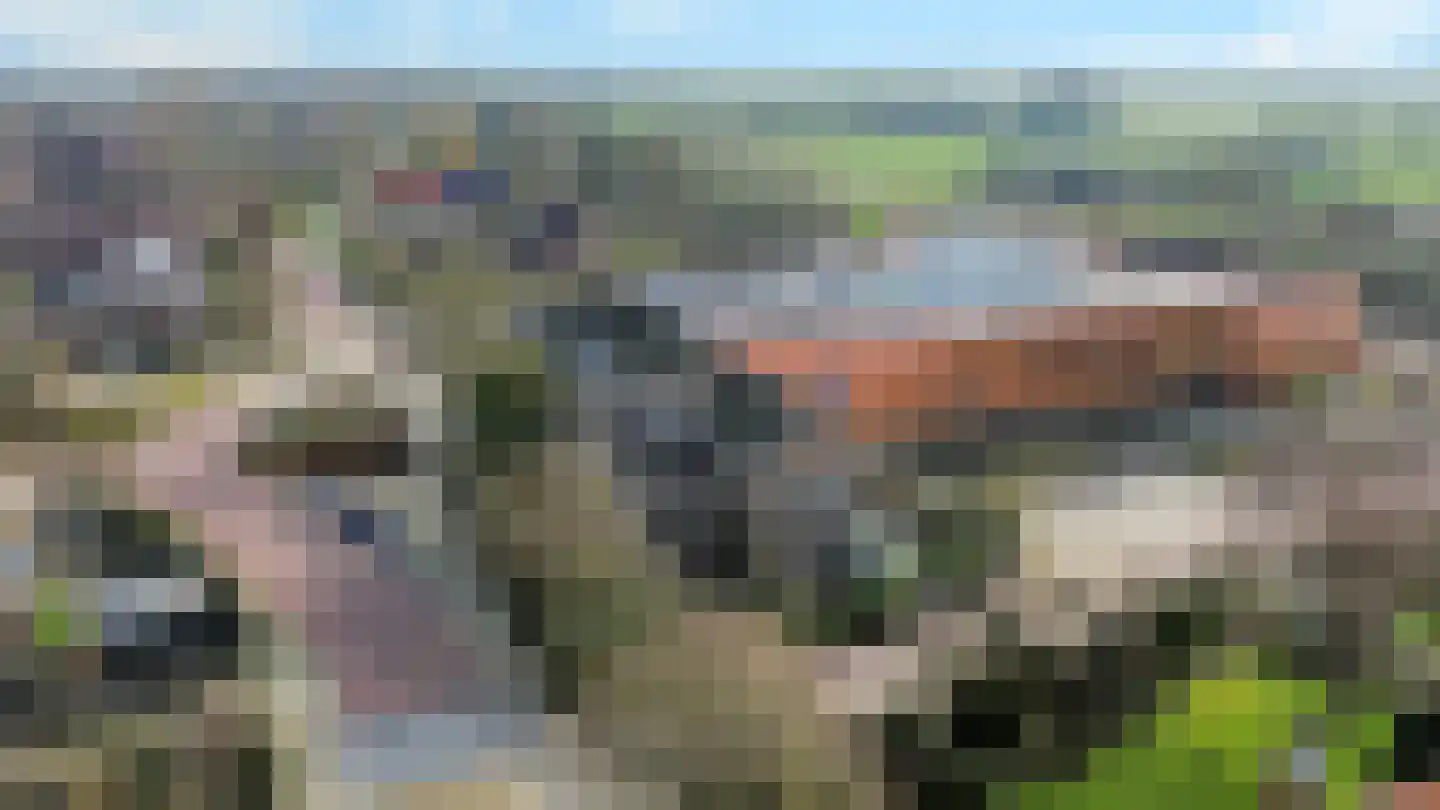 Elft 51 Hippolytushoef thumbnail 32