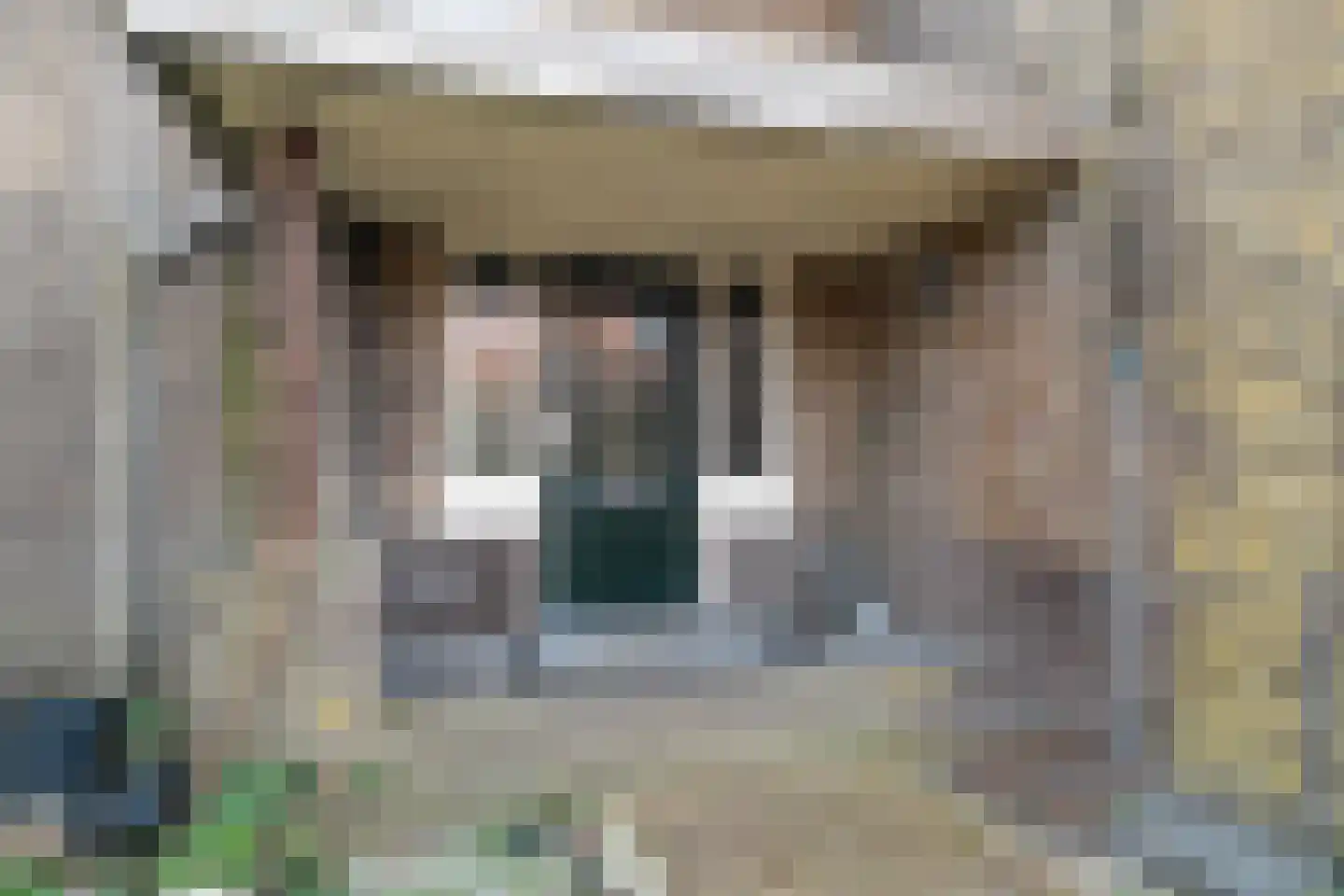 Elft 51 Hippolytushoef thumbnail 4