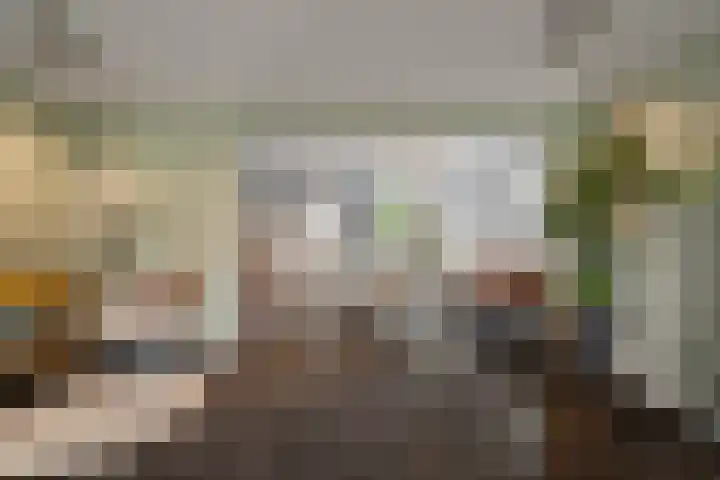 Elft 59 Hippolytushoef thumbnail 10