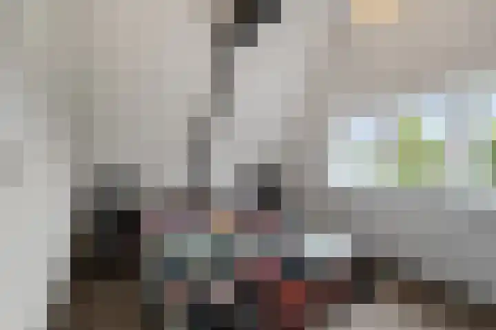 Elft 59 Hippolytushoef thumbnail 18