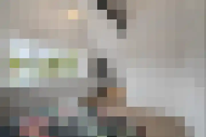 Elft 59 Hippolytushoef thumbnail 19