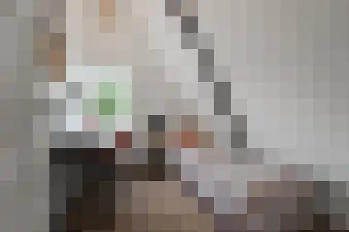 Elft 59 Hippolytushoef thumbnail 20