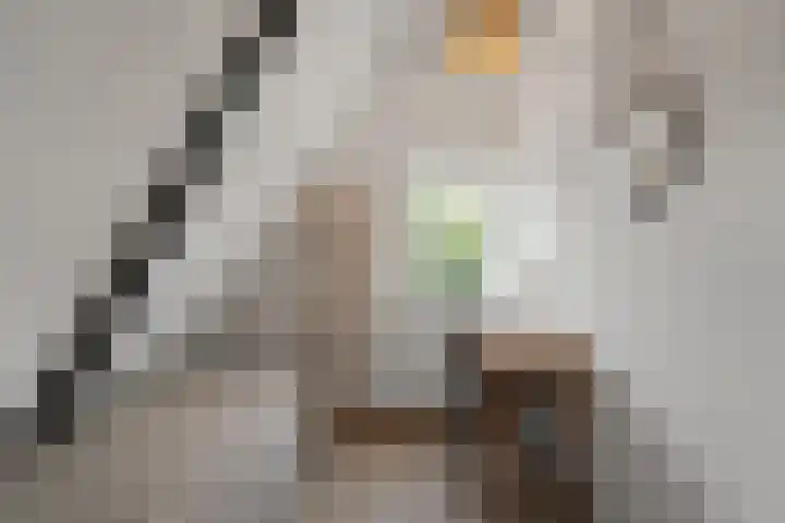 Elft 59 Hippolytushoef thumbnail 22