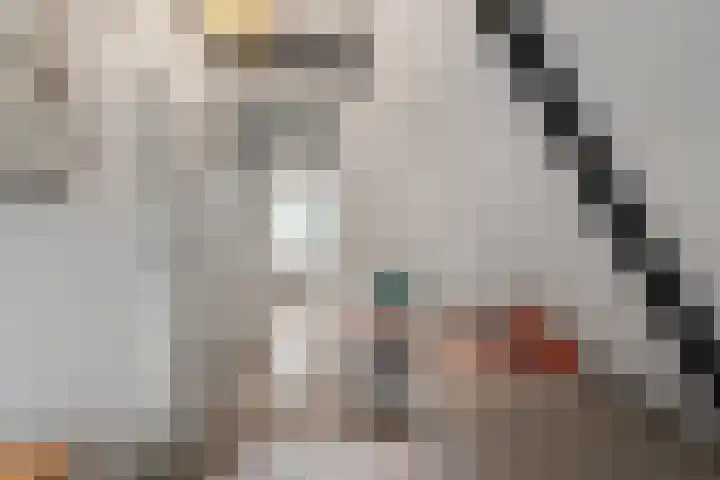 Elft 59 Hippolytushoef thumbnail 23