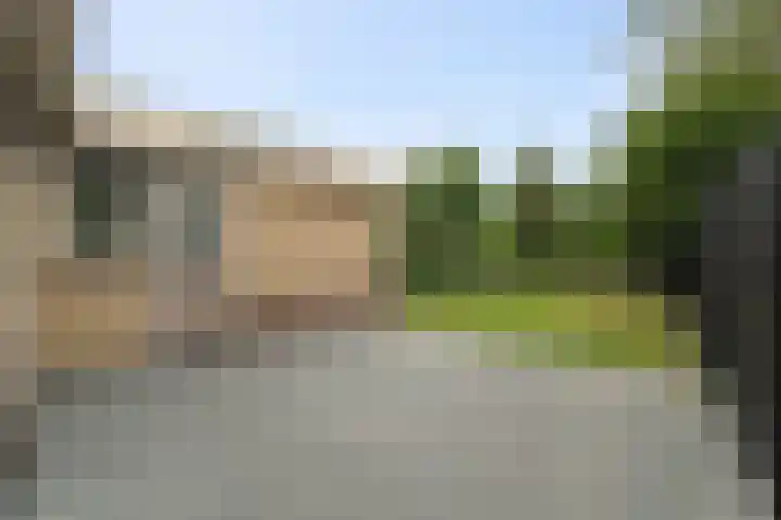 Elft 59 Hippolytushoef thumbnail 25