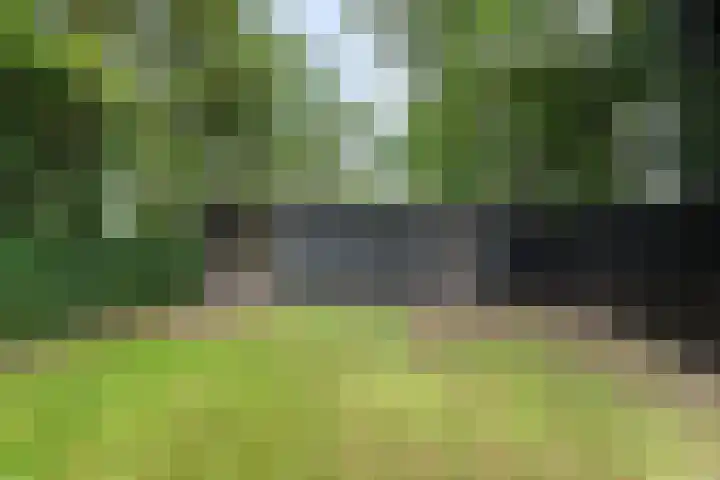 Elft 59 Hippolytushoef thumbnail 26