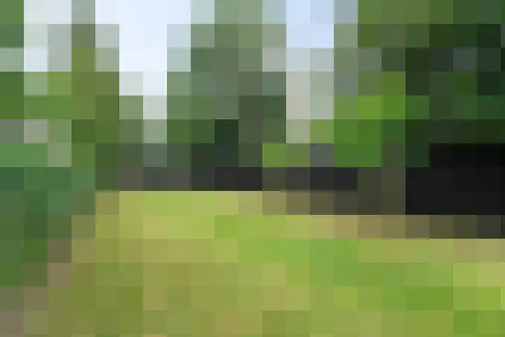 Elft 59 Hippolytushoef thumbnail 4