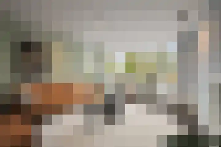 Elft 59 Hippolytushoef thumbnail 7