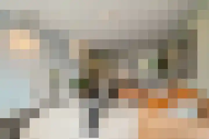 Elft 59 Hippolytushoef thumbnail 9