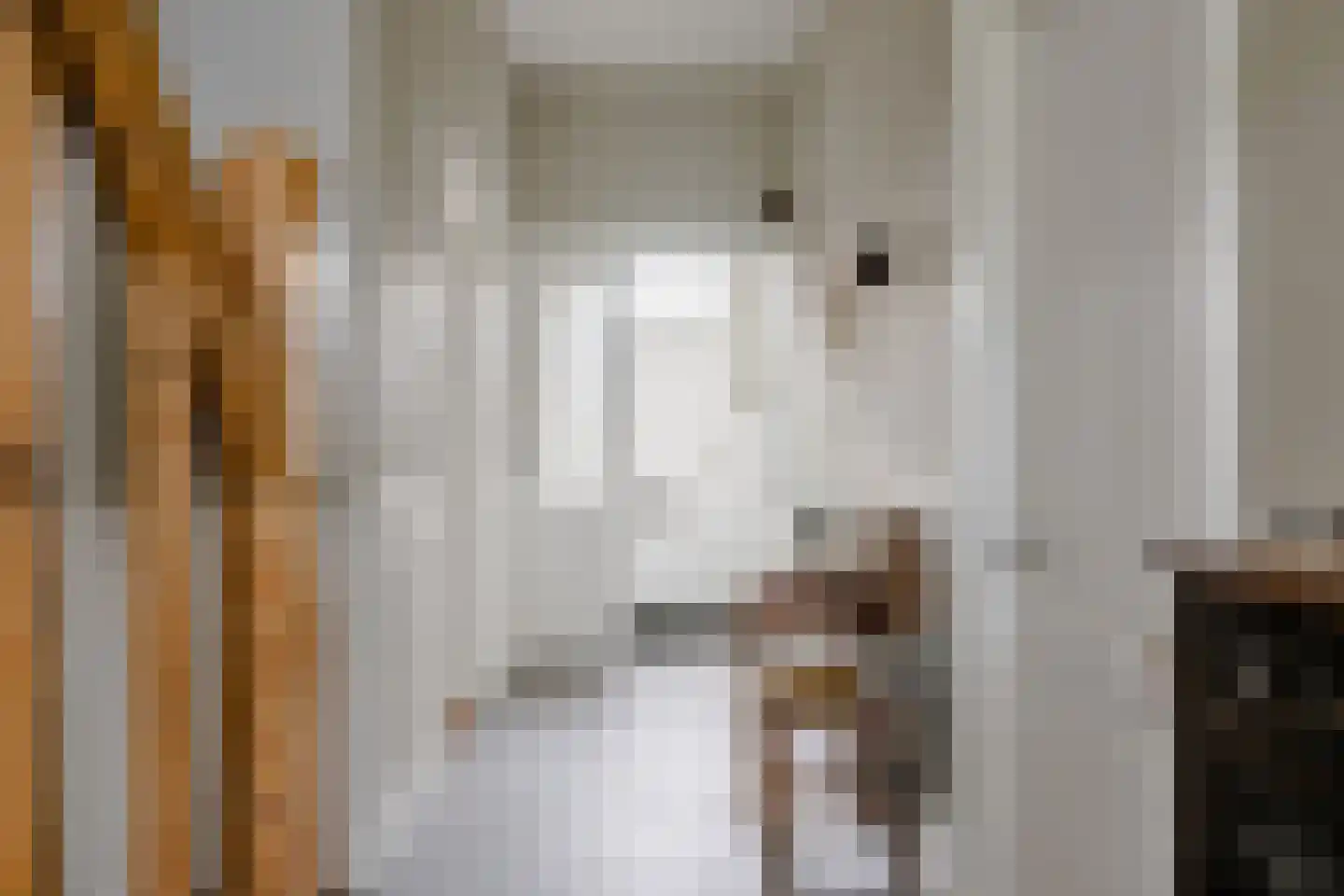 Elft 6 Hippolytushoef thumbnail 10