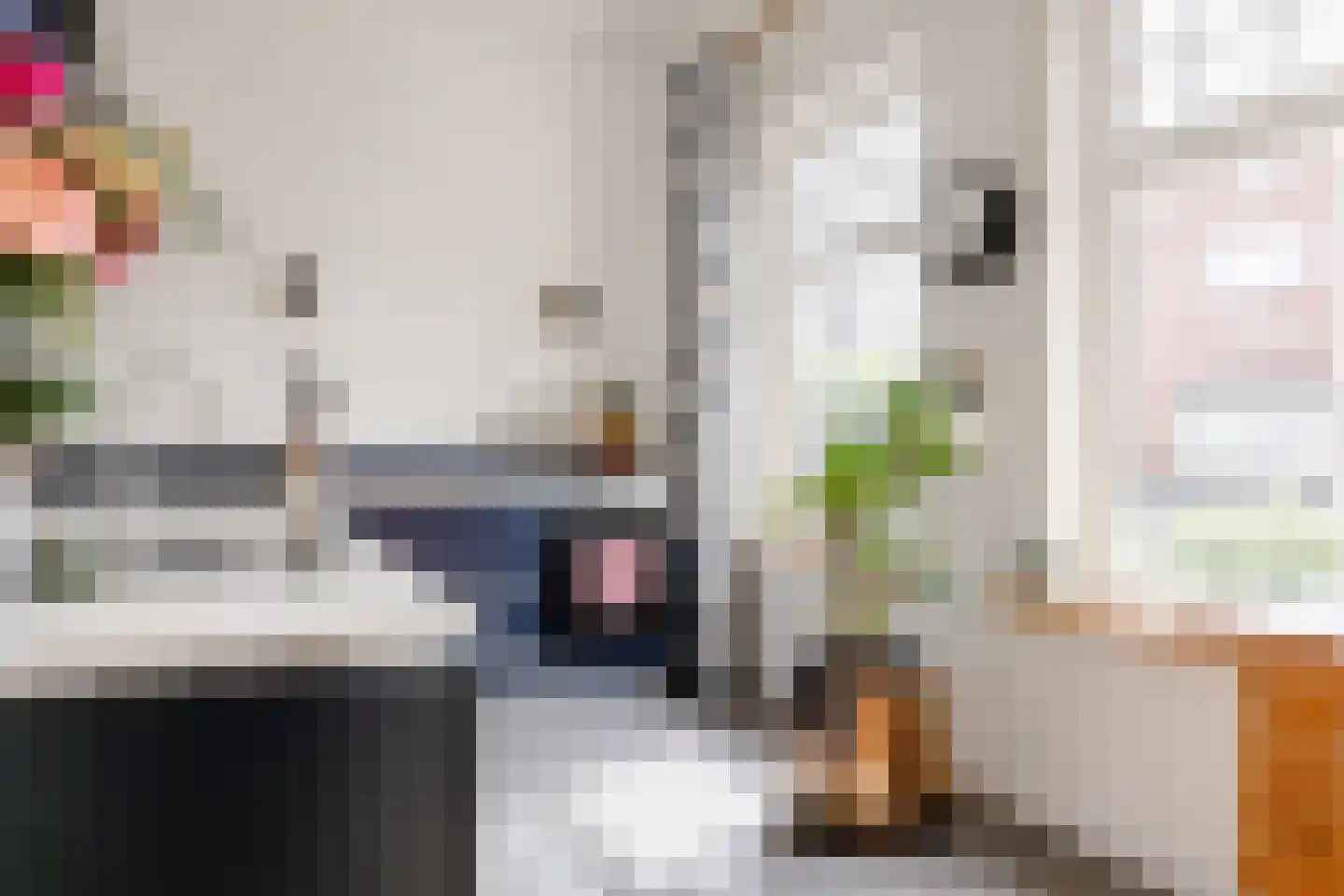 Elft 6 Hippolytushoef thumbnail 12