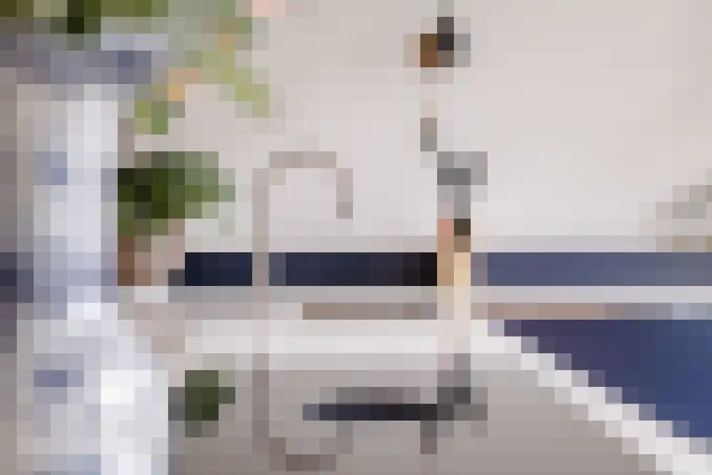 Elft 6 Hippolytushoef thumbnail 13