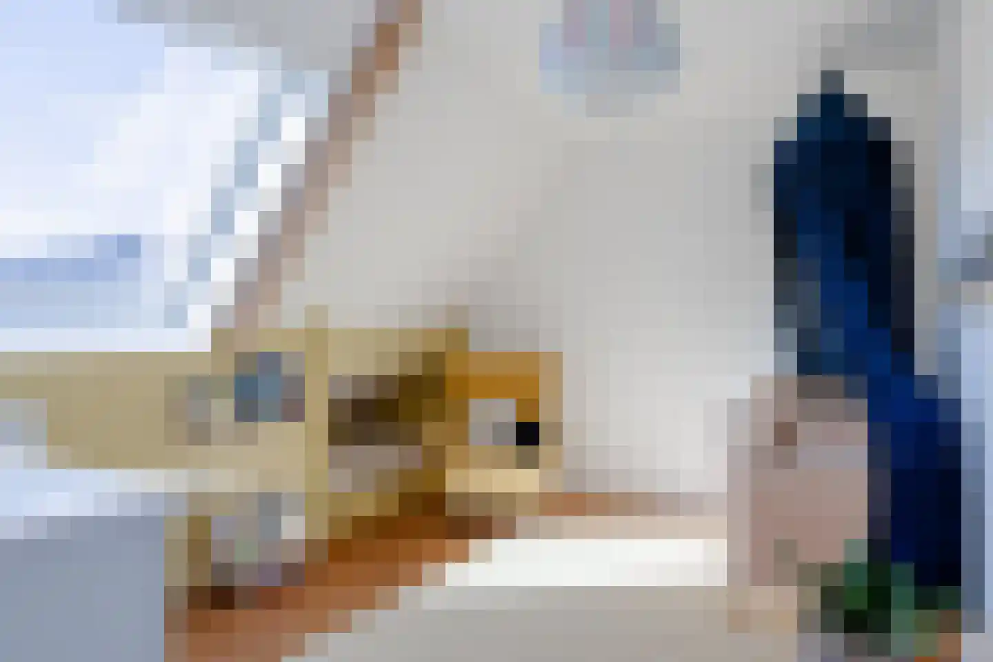 Elft 6 Hippolytushoef thumbnail 23