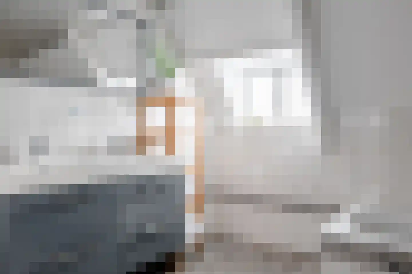 Elft 6 Hippolytushoef thumbnail 27
