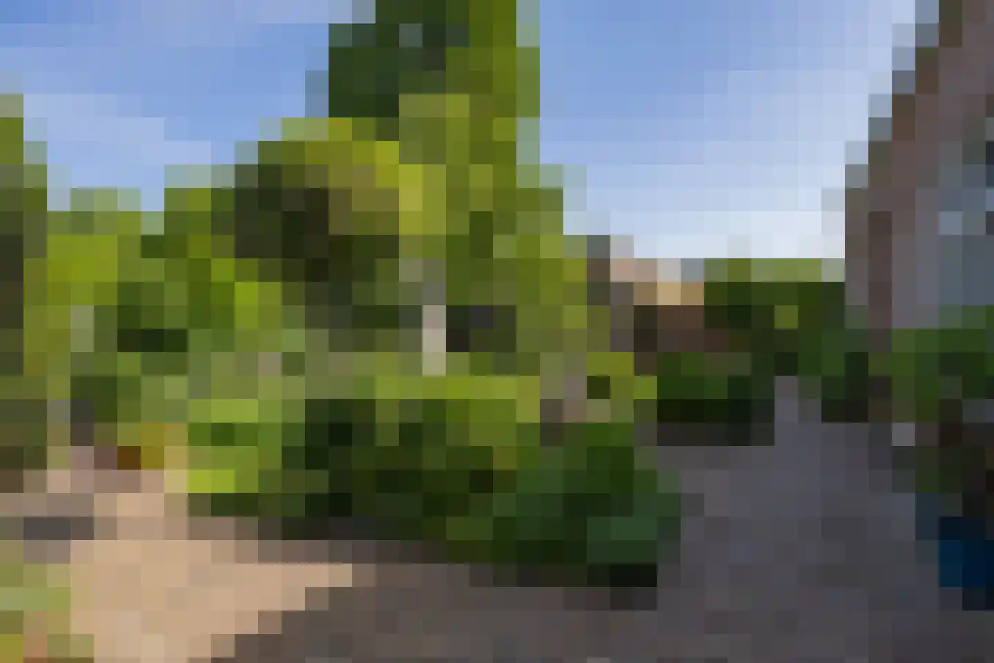 Elft 6 Hippolytushoef thumbnail 29