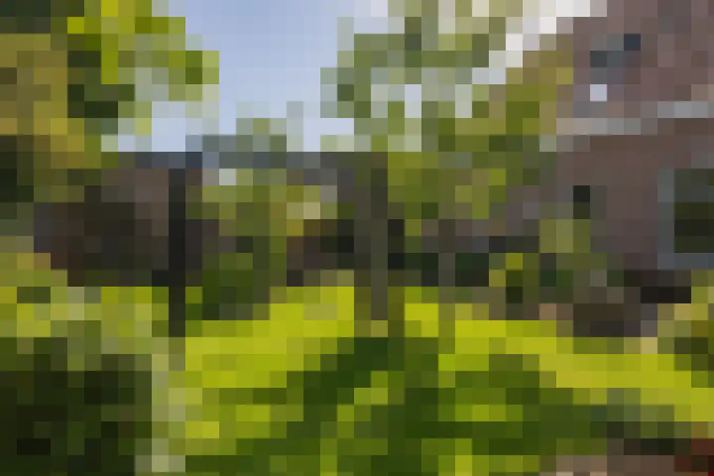 Elft 6 Hippolytushoef thumbnail 30