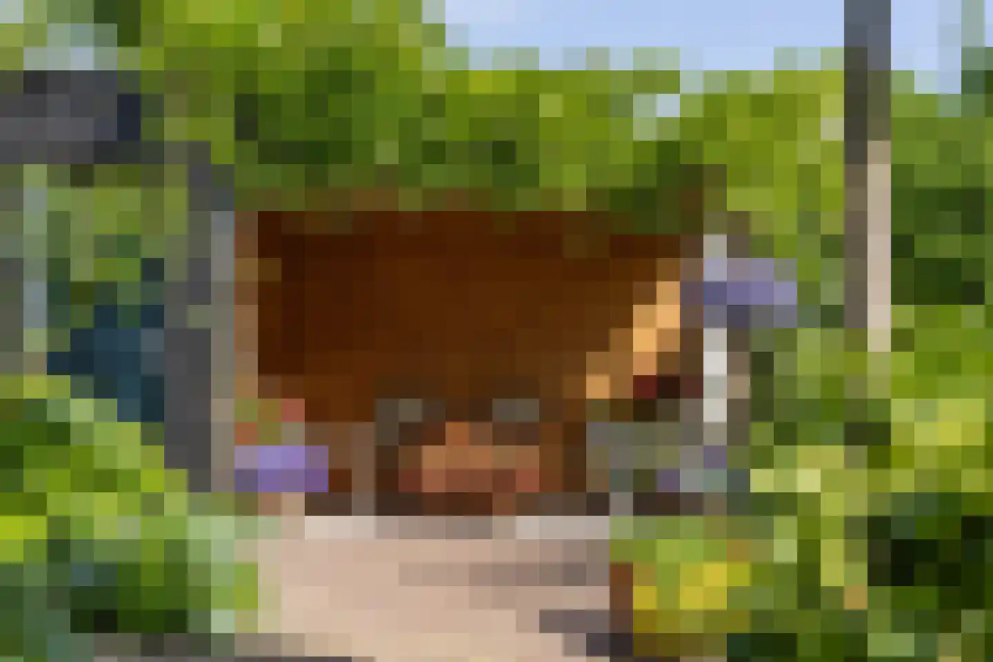 Elft 6 Hippolytushoef thumbnail 32