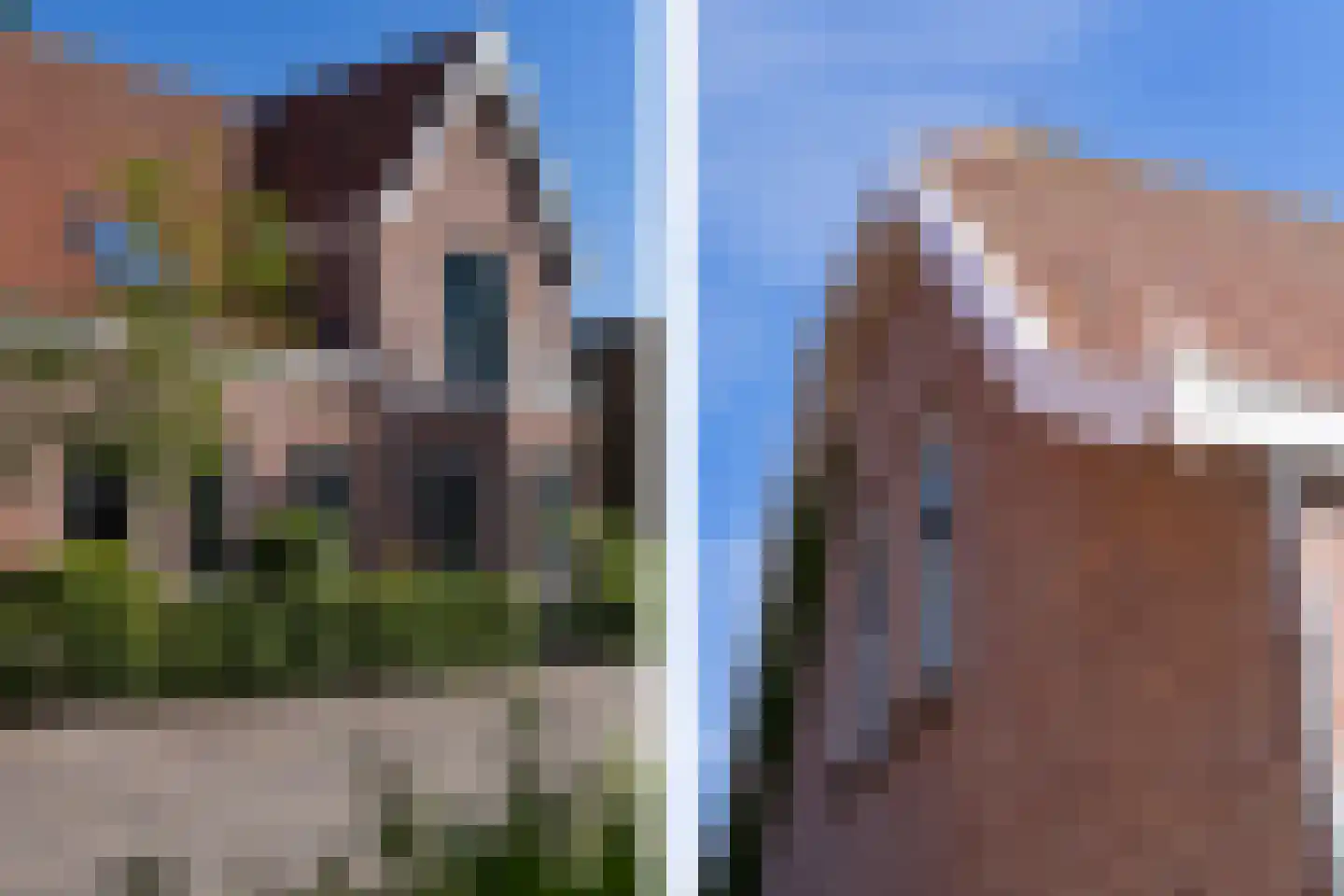 Elft 6 Hippolytushoef thumbnail 37
