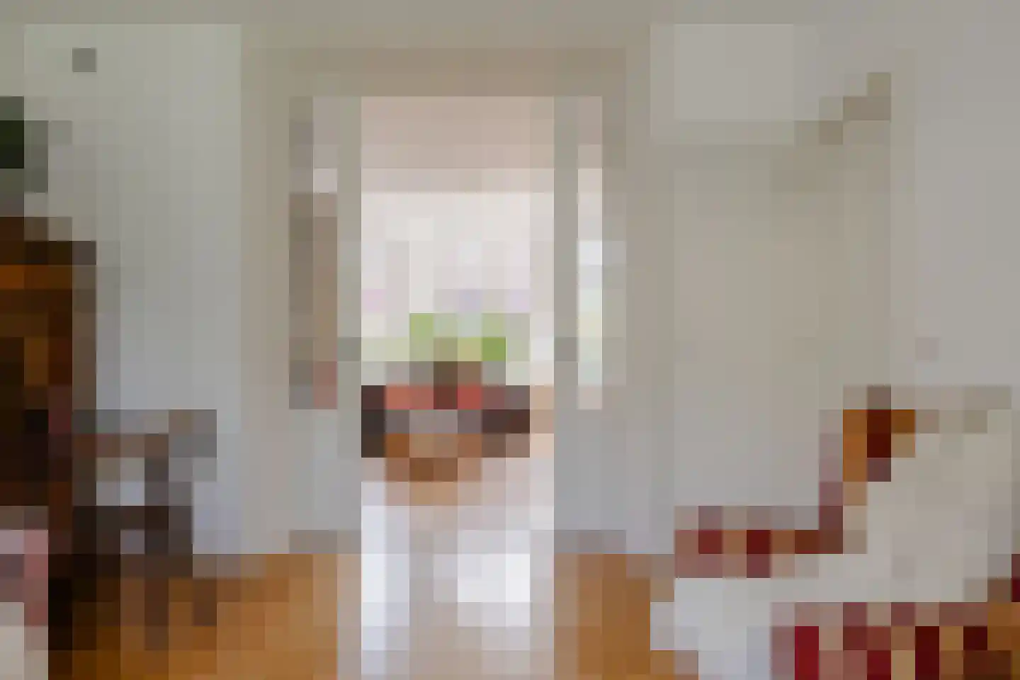Elft 6 Hippolytushoef thumbnail 8