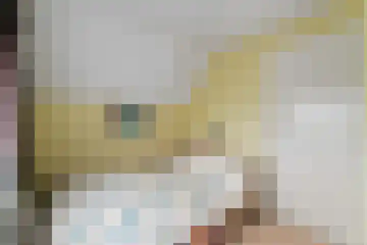 Elft 70 Hippolytushoef thumbnail 18