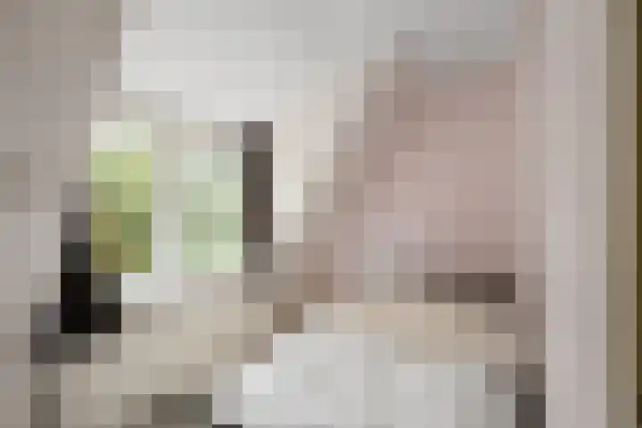 Elft 70 Hippolytushoef thumbnail 19
