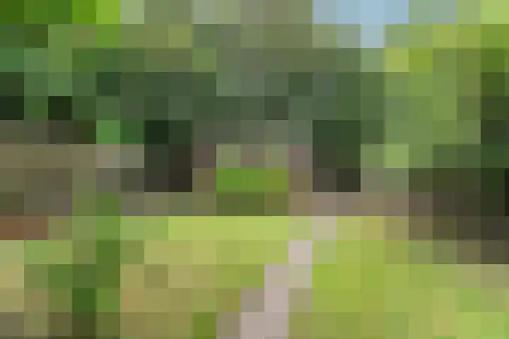 Elft 70 Hippolytushoef thumbnail 24