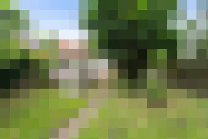 Elft 70 Hippolytushoef thumbnail 25