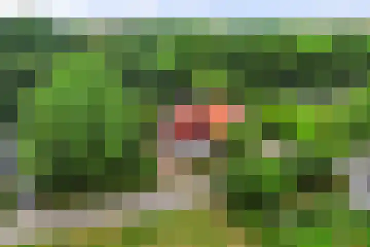 Elft 70 Hippolytushoef thumbnail 29