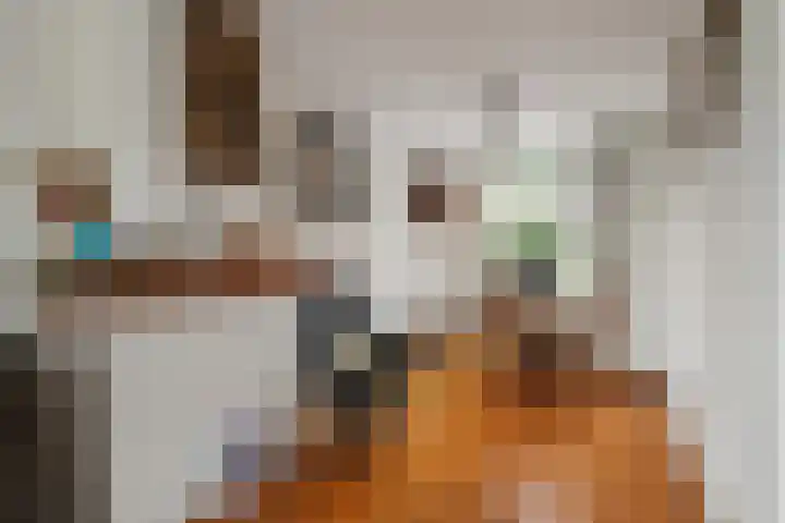 Elft 70 Hippolytushoef thumbnail 7