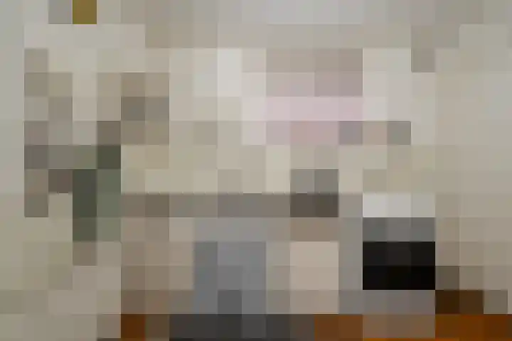 Elft 70 Hippolytushoef thumbnail 9