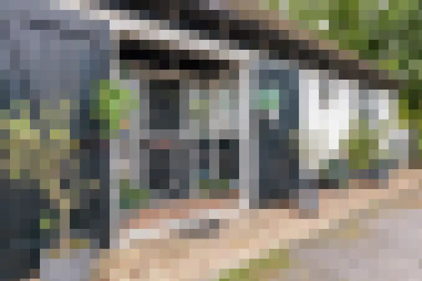 Elft 73 Hippolytushoef thumbnail 11