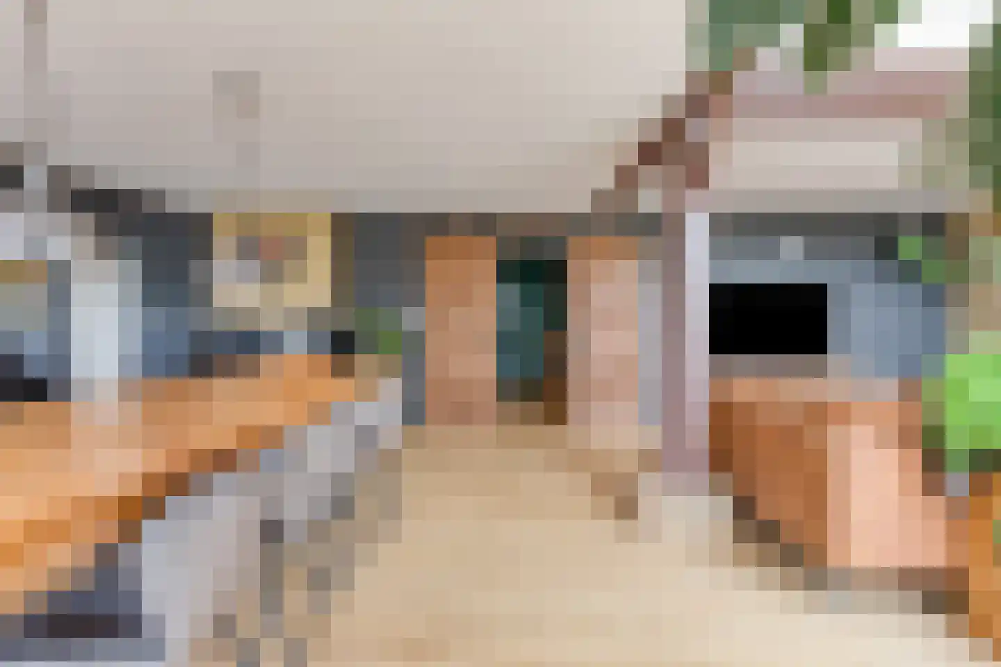 Elft 73 Hippolytushoef thumbnail 19