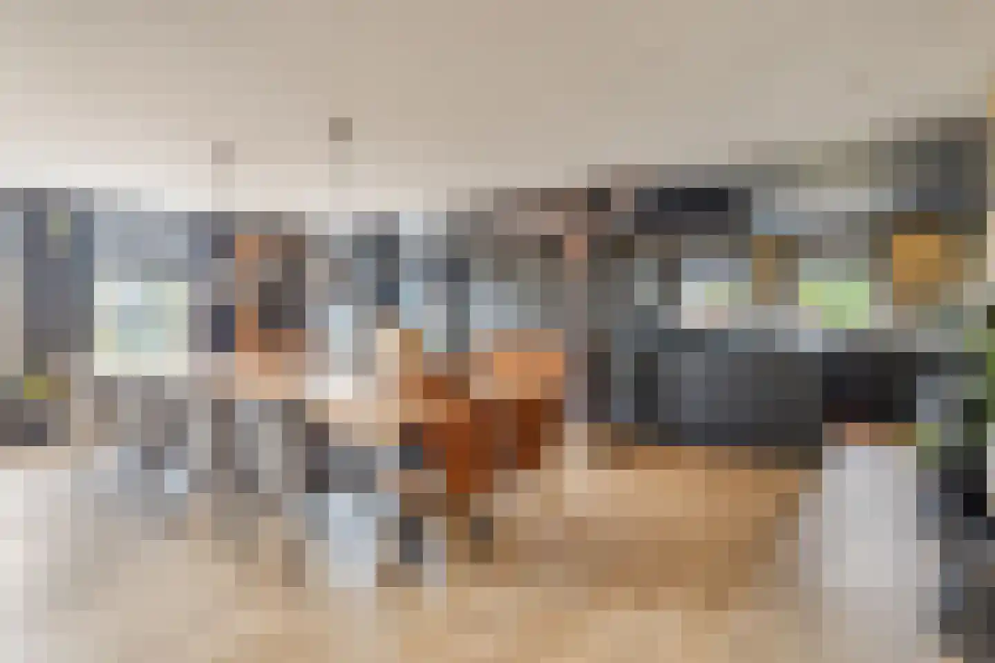 Elft 73 Hippolytushoef thumbnail 20