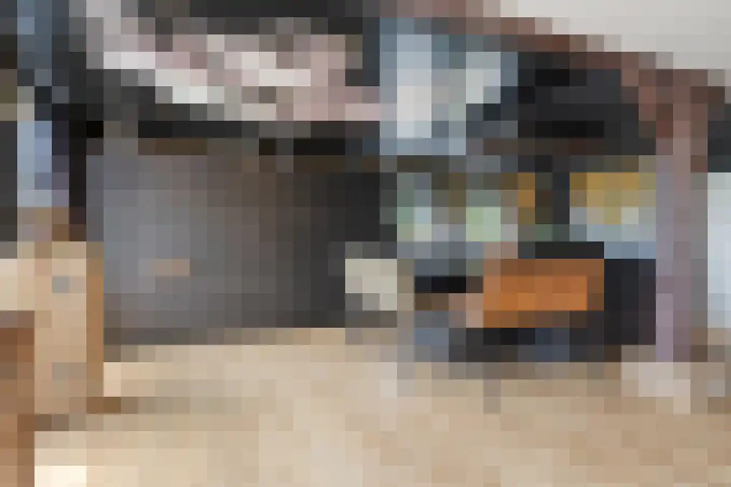 Elft 73 Hippolytushoef thumbnail 21