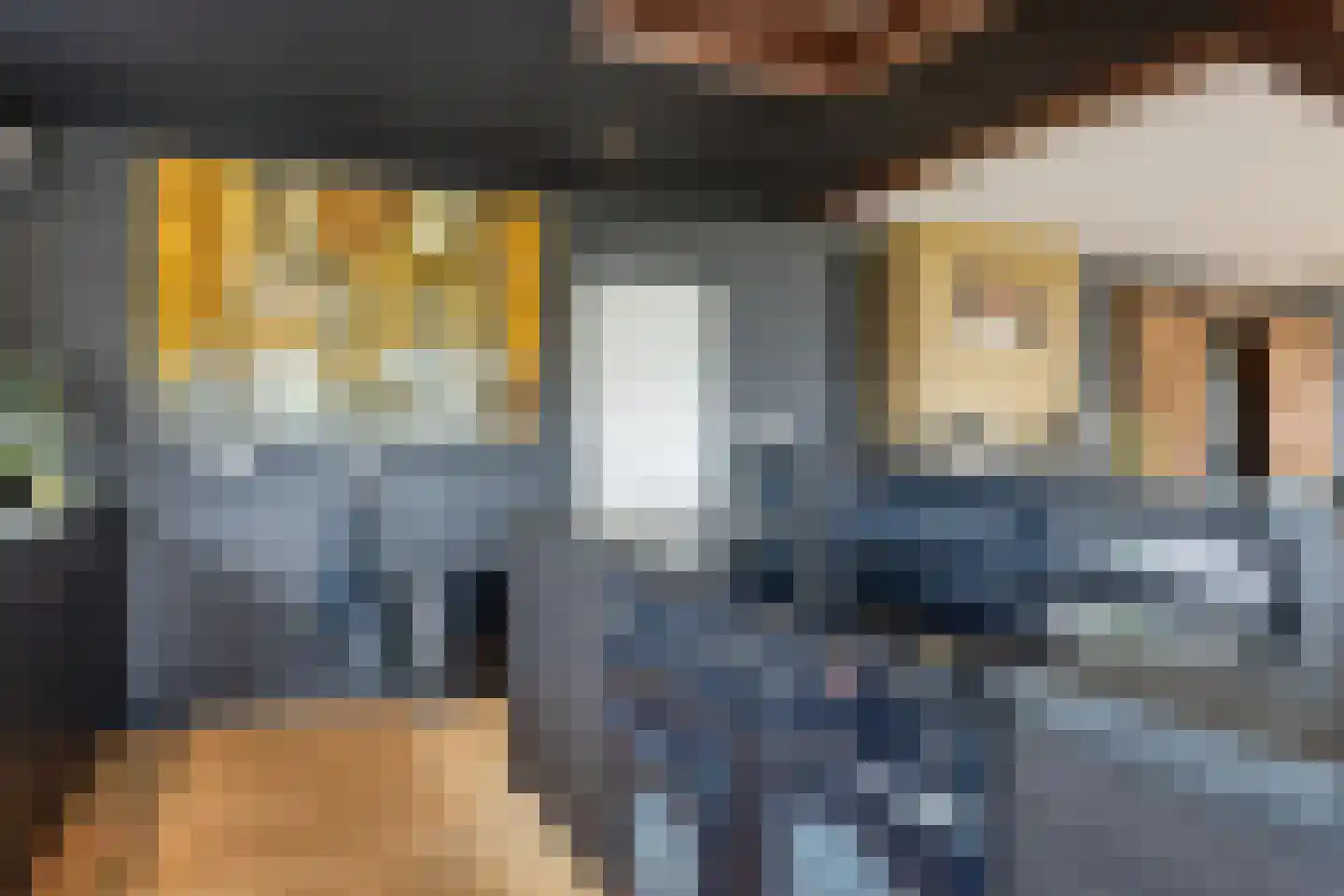 Elft 73 Hippolytushoef thumbnail 23